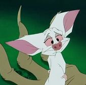 Bartok
