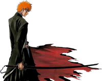 Ichigo28bh