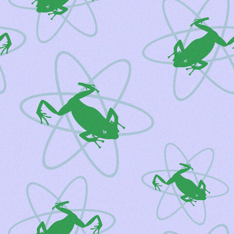File:Atomicfrogs cyc.jpg