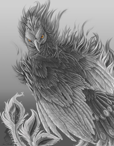 File:Shadowphoenix.jpg