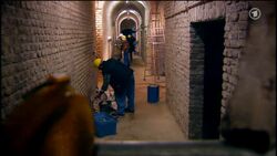 Königsbrunn cellar working