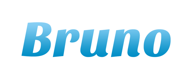File:Bruno logo.png
