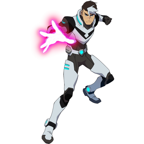 File:Shiro (Paladin) - LD.png