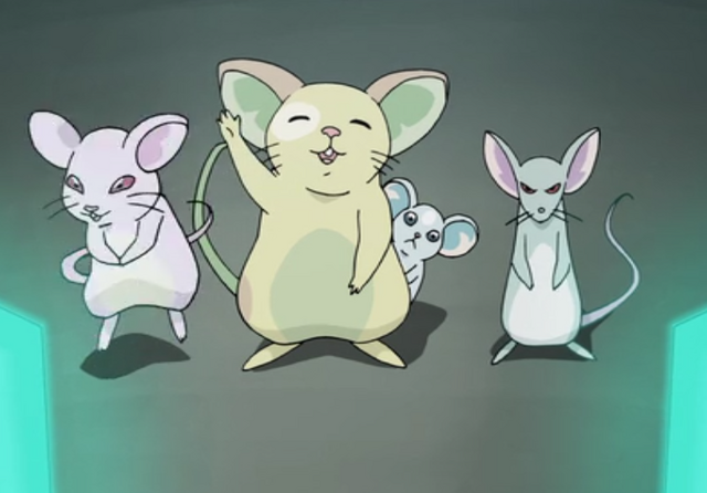 File:Mice First.png