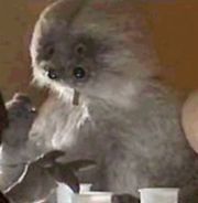 Muftak.jpg