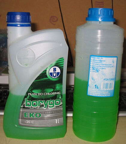 Plik:Borygo.jpg