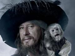 Plik:Barbosamonkey.jpg