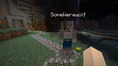 Minecraft dfwerewolf01