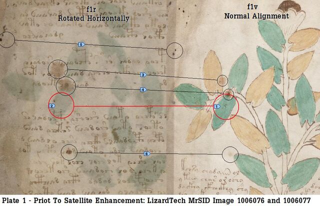 File:PLATE 1.jpg