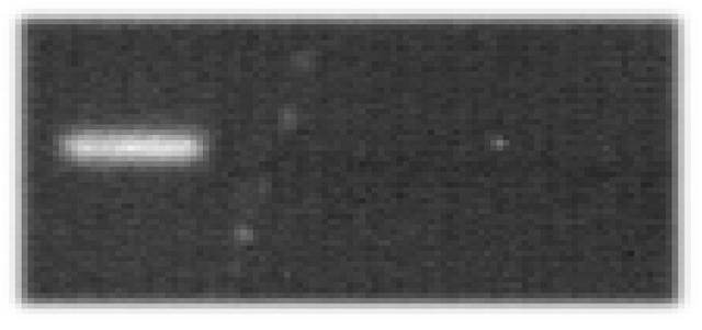 Datei:Mag figure13c.png