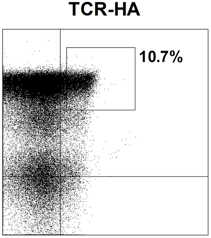Datei:Mag figure11b.png