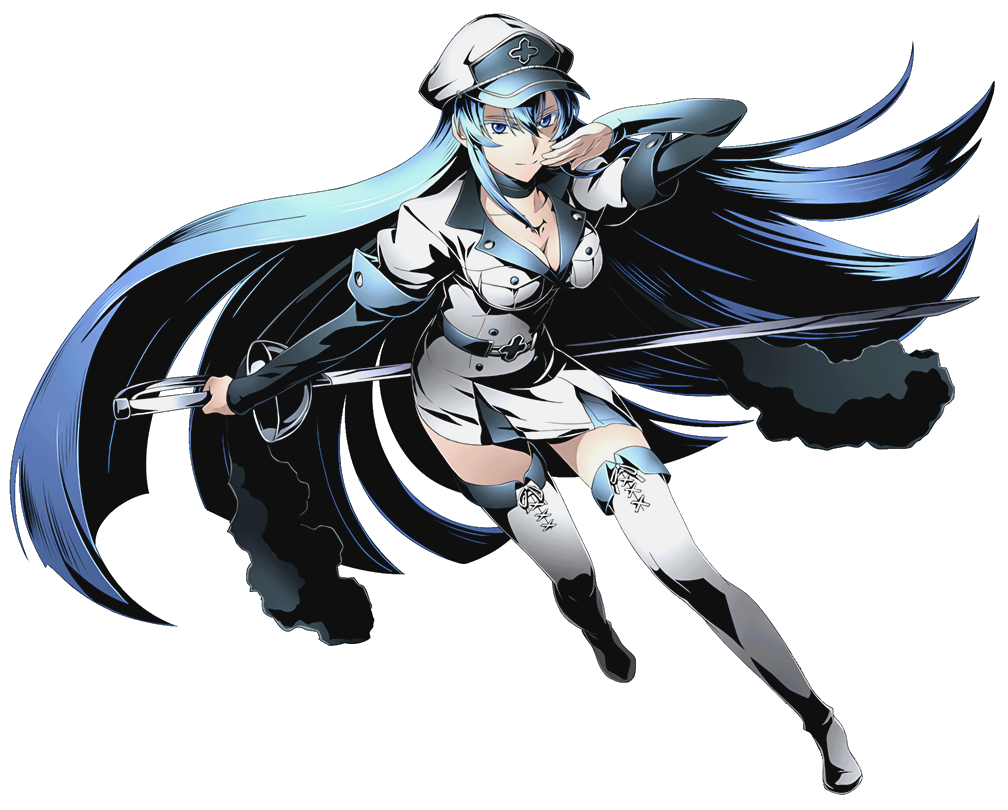 Esdeath | VS Battles Wiki | Fandom powered by Wikia