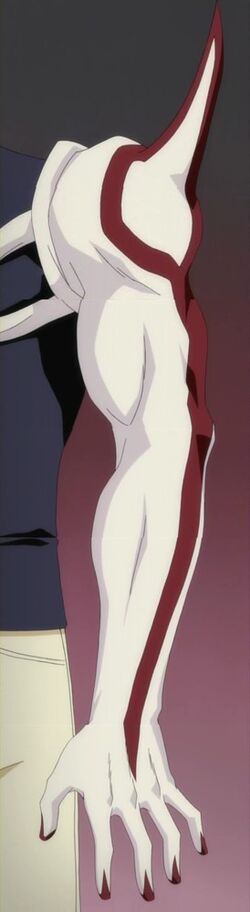 Brazo Izquierda del Diablo