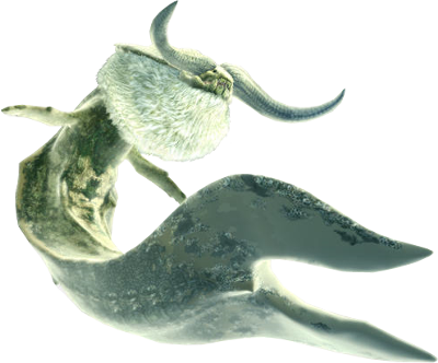 Ceadeus