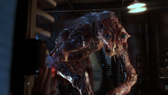 File:The-fly-remake.png