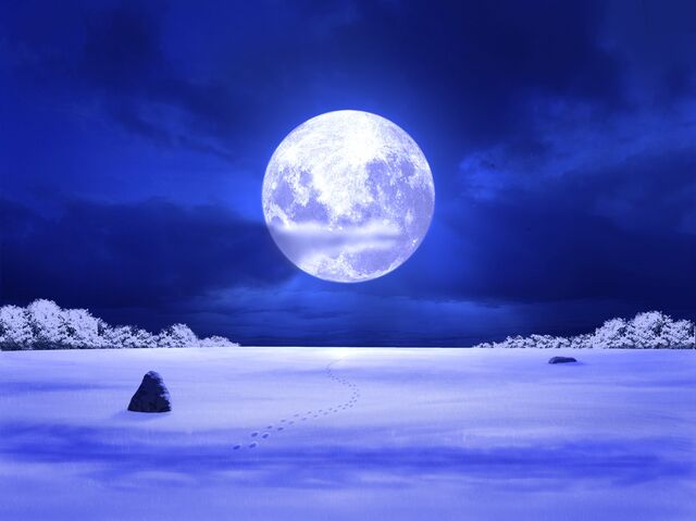 File:SummerSnow.jpg