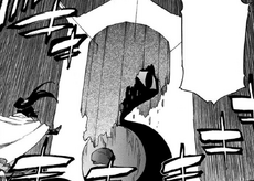 Yoruichi's Unnamed Barrier