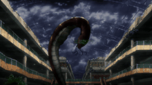 Yin yang kurikara