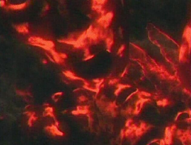 File:The Darkness (Twitches).jpg