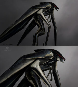 Male MUTO