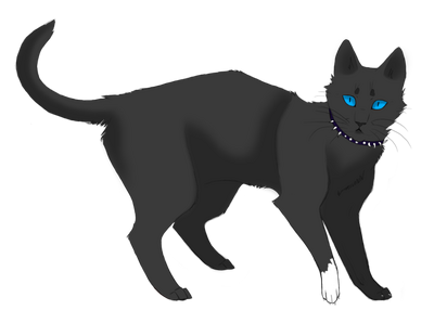 Scourge