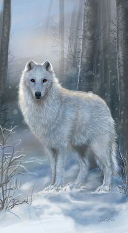 File:493px-Ghost by carrie best.jpg