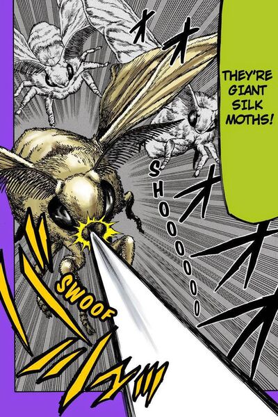 Giant Silk Moth