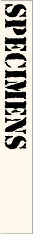 File:Folder4.png