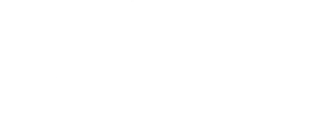File:Logo VTM.png