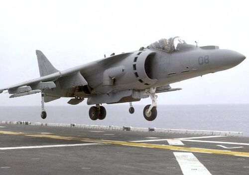 Harrier2