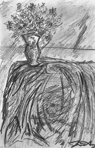 File:Jordan aguiar Blanket of too much shadow and not balancing of the land of imagination, for the brain of Jordan, with a vase of flowers.jpg