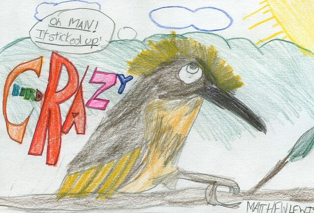 File:Matthew Lewis Crazy Bird.jpg