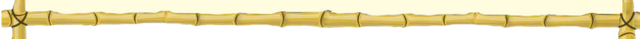 File:Footer.png