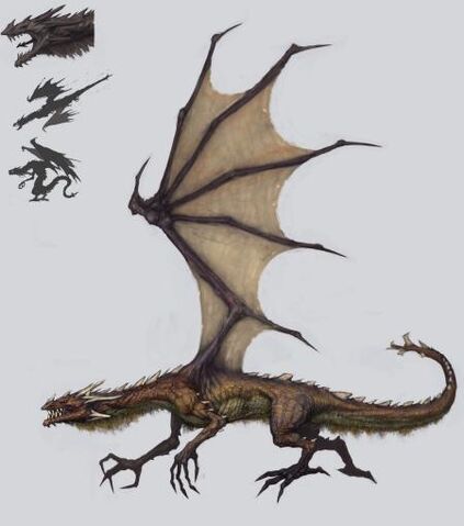 Файл:Dragon concept.jpg