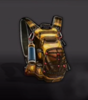 Brownbackpack