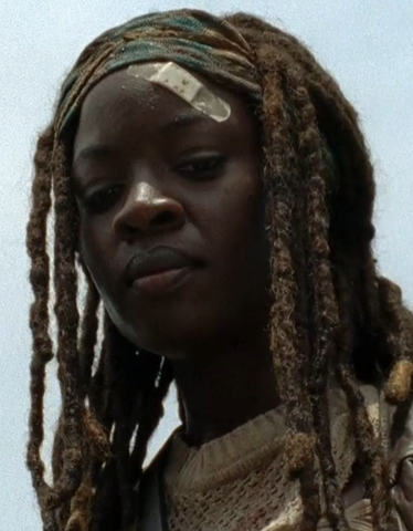 File:TFG Michonne Over Gov.png