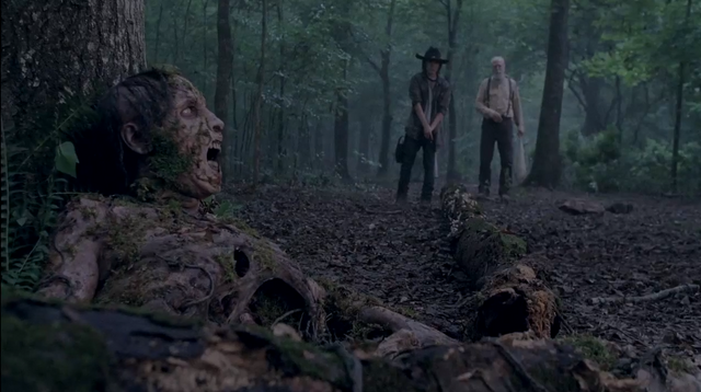 File:S4T Nature Walker.png