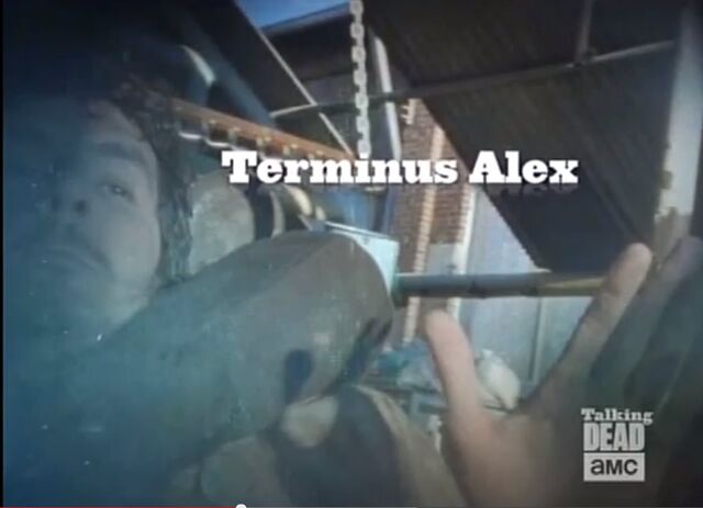 File:TerminusAlexhighfivetoamc.jpg