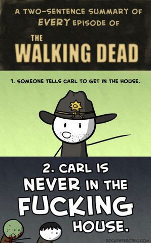 File:Funny-Walking-Dead-Carl-TV-series-434x698.jpg