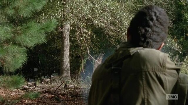 File:S5E13 13.jpg