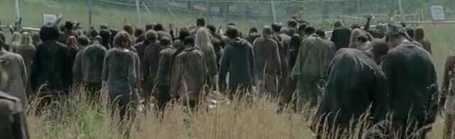 File:TWDBLR Images 048.jpeg