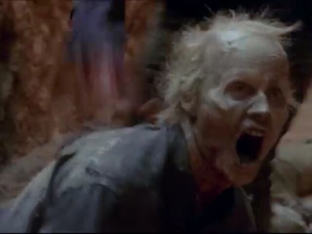 File:TWDBLR Images 023.jpeg