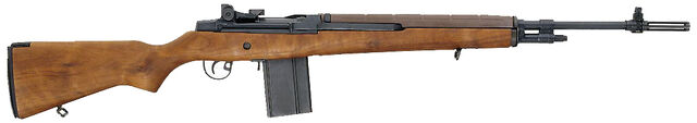 File:SFA M1A.jpg