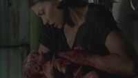 Twd304-002896.jpg