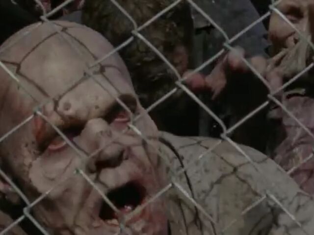 File:TWDBLR Images 006.jpeg