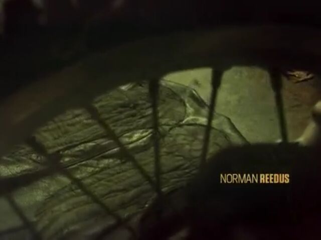 File:TWDNS Images 005.jpeg