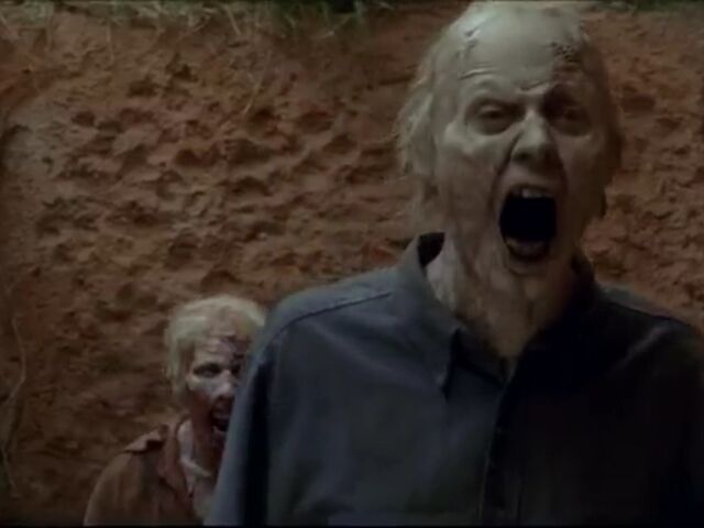File:TWDBLR Images 020.jpeg
