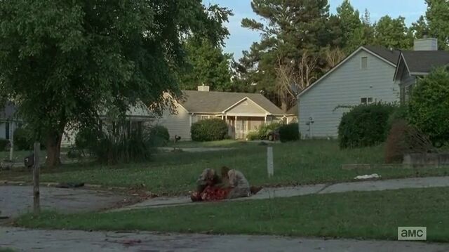 File:GreenHouseWalkers404.jpg