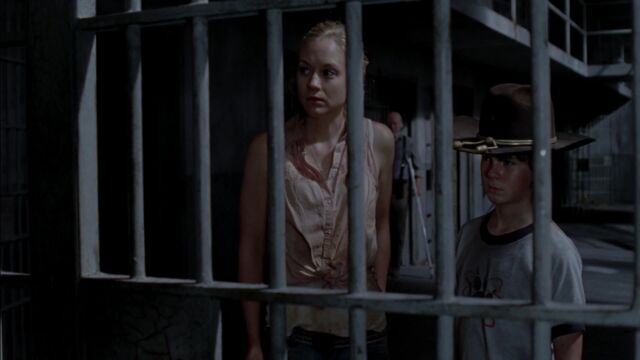 File:The Walking Dead S03E08 Made To Suffer 1080p kissthemgoodbye net 2435.jpg