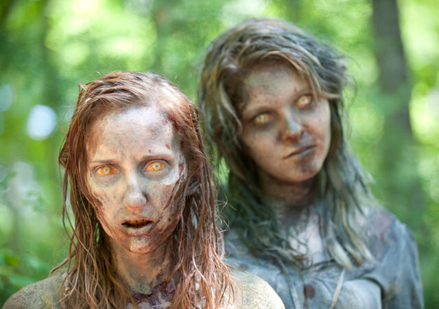 File:3A Walker 13.jpg
